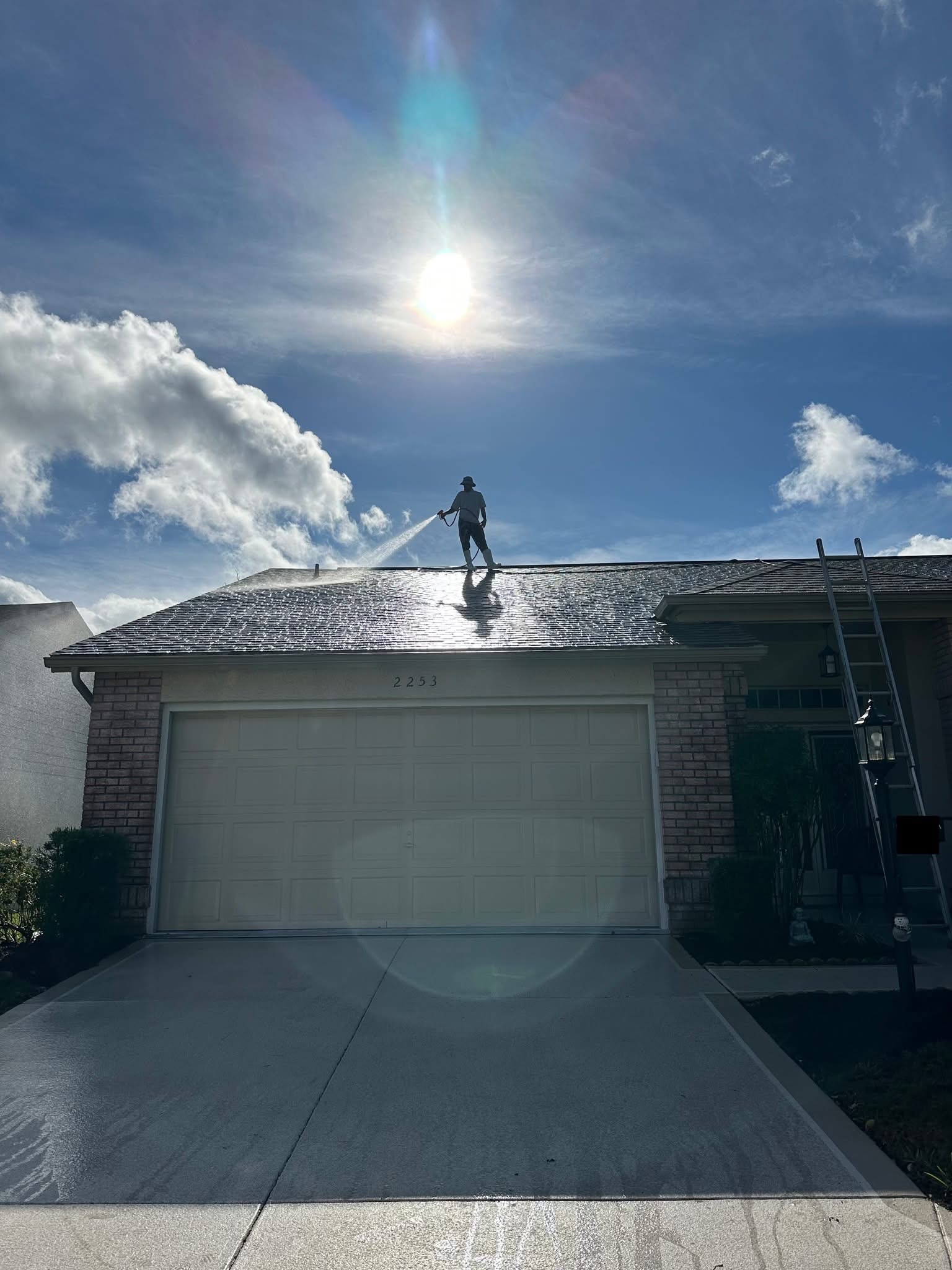 Roof Cleaning